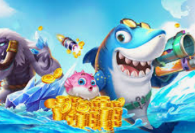 威廉体育2024最新版